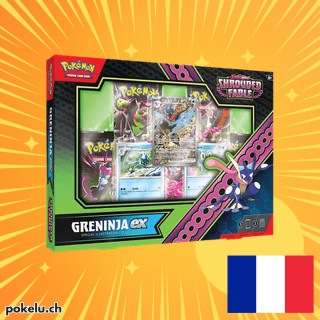 Fable Nébuleuse: Amphinobi ex Special Illustration Collection FR